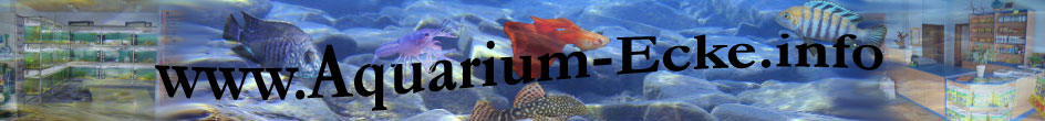 Aquarium-Ecke Foren-Übersicht